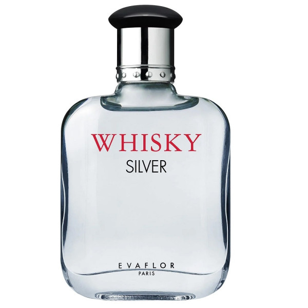 Evaflor Whisky Silver For Men EDT tualettvesi meestele, 100 ml