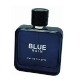 Georges Mezotti Blue Rain EDT tualettvesi meestele, 125 ml