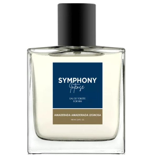 Melody Symphony Intense Men EDT tualettvesi meestele, 100 ml