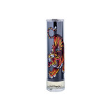 Christian Audigier Ed Hardy Meeste EDT tualettvesi meestele, 100 ml