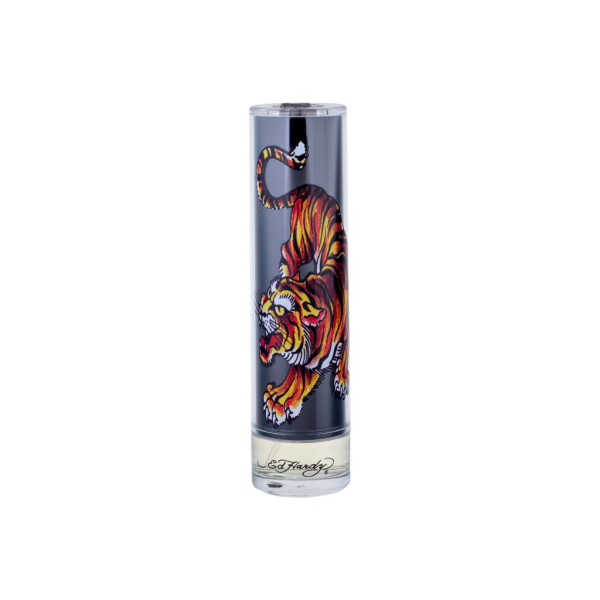 Christian Audigier Ed Hardy Meeste EDT tualettvesi meestele, 100 ml