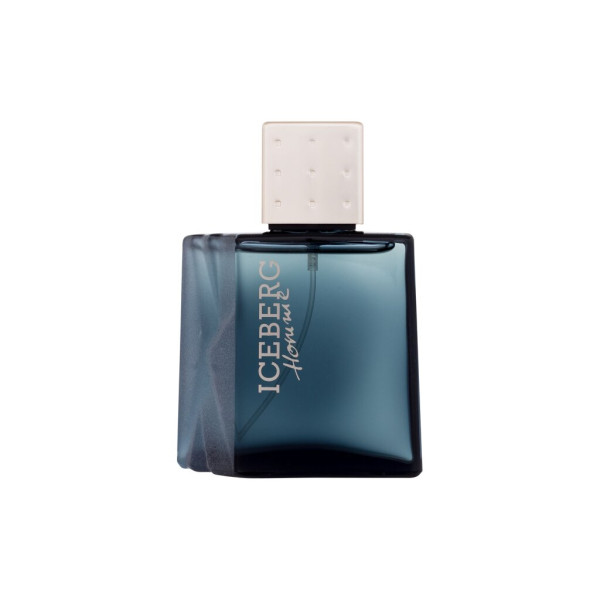 Iceberg Homme EDT tualettvesi meestele, 50 ml