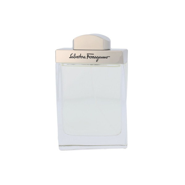 Salvatore Ferragamo Pour Homme EDT tualettvesi meestele, 100 ml