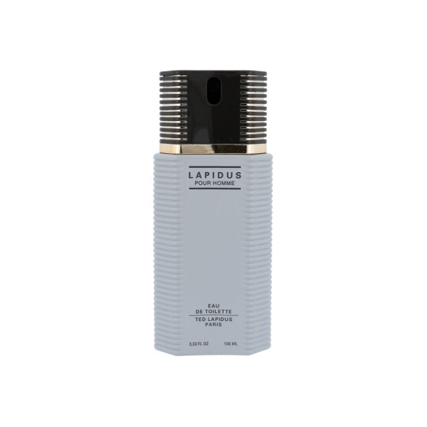 Ted Lapidus Lapidus Pour Homme EDT tualettvesi meestele, 100 ml