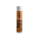 Lakme Ultra Brown Shampoo Refresh, 300 ml