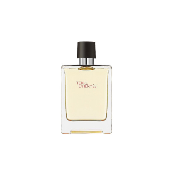 Hermes Terre D'hermes EDT tualettvesi unisex, 100 ml