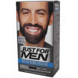 Just For Men vuntsid ja habe Real Black M-55 värv vuntside ja habeme jaoks