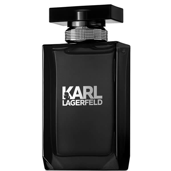 Karl Lagerfeld Pour Homme EDT tualettvesi meestele, 100 ml