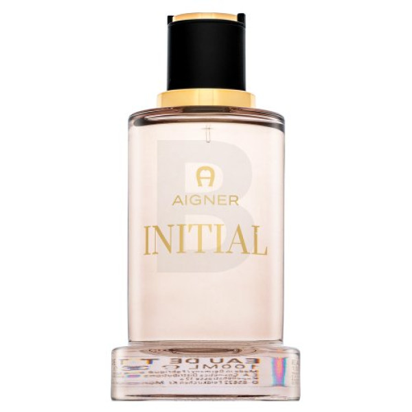 Aigner Initial EDT tualettvesi meestele, 100 ml