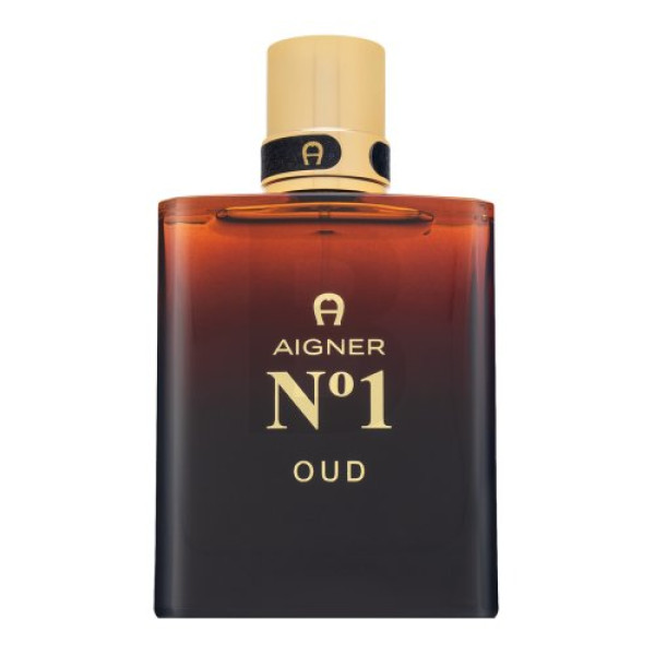 Aigner No. 1 Oud EDP lõhnastatud vesi unisex, 100 ml