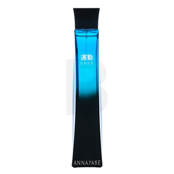 Annayake Undo Pour Homme EDT tualettvesi meestele, 100 ml