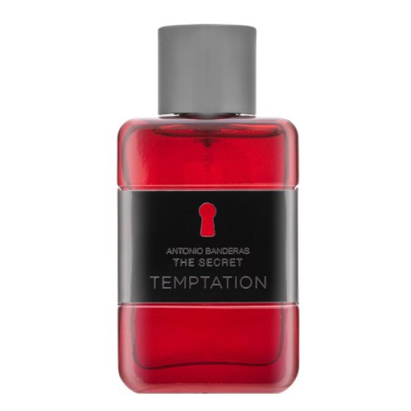 Antonio Banderas The Secret Temptation EDT tualettvesi meestele, 50 ml