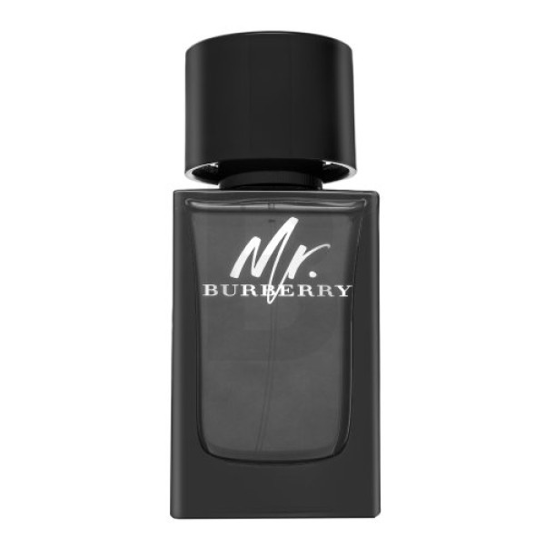 Burberry Mr. Burberry EDP lõhnastatud vesi meestele, 100 ml