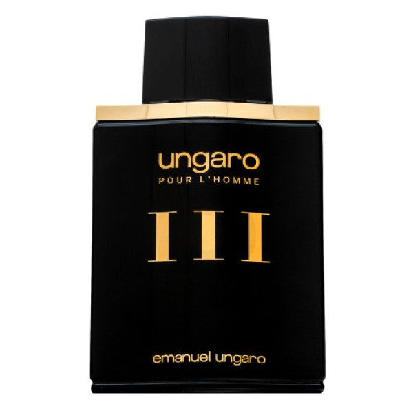 Emanuel Ungaro Homme III EDT tualettvesi meestele, 100 ml