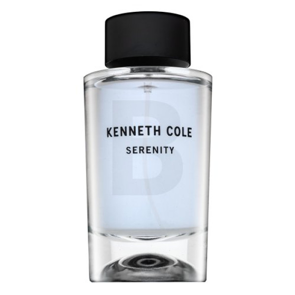 Kenneth Cole Serenity EDT tualettvesi meestele, 100 ml