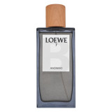 Loewe 7 Anonimo EDP lõhnastatud vesi meestele, 100 ml