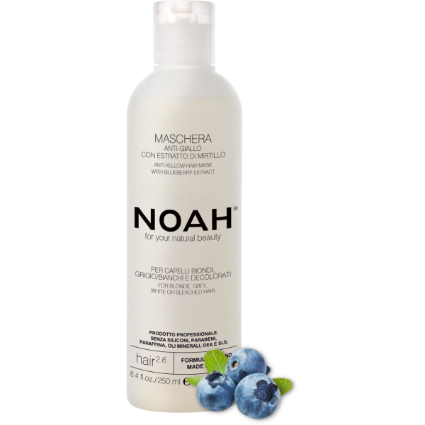 Noa 2.6. Anti-Yellow Hair Mask Kollaseid toone neutraliseeriv juuksemask, 250 ml