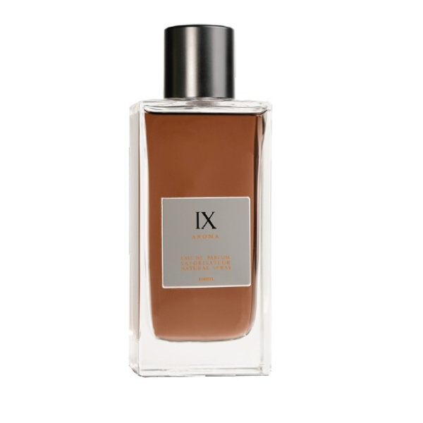 Aurora Scents Aroma IX EDP lõhnastatud vesi meestele, 100 ml