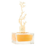 Aurora Scents Deciduous Autumn EDP lõhnastatud vesi naistele, 100 ml + EDP 8 ml