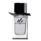 Mr. Burberry EDT tualettvesi meestele, 150 ml