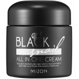 Multifunktsionaalne näokreem Mizon Black Snail All in One Cream musta teo ekstraktiga, 75 ml