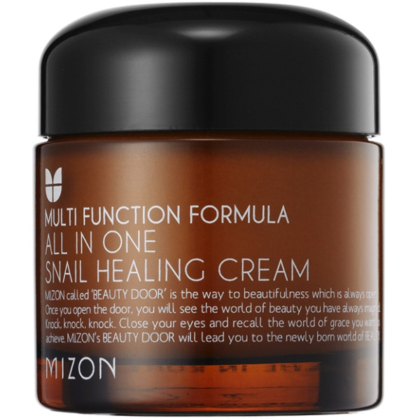 Multifunktsionaalne näokreem All in One Snail Repair Cream Mizon teoekstraktiga, 75 ml