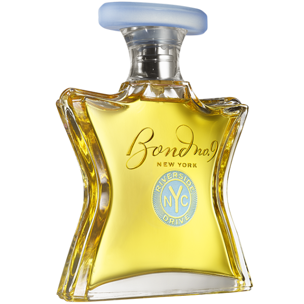 Bond No. 9 Riverside Drive EDP lõhnastatud vesi meestele, 100 ml