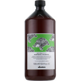 Davines Natural Tech Renewing Shampoo uuendav šampoon, 1000 ml