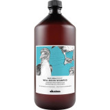 Davines Natural Tech Well-Being Shampoo heaolušampoon, 1000 ml