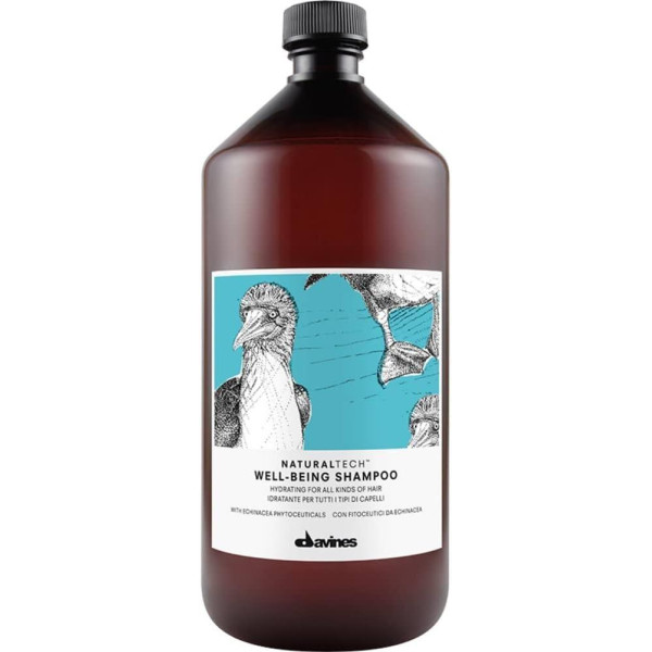 Davines Natural Tech Well-Being Shampoo heaolušampoon, 1000 ml