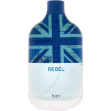 Fcuk Rebel EDT tualettvesi meestele, 100 ml