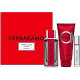 Ferragamo Ferragamo Red Leather komplekt meestele (EDP, 100 ml + šampoon ja dušigeel, 100 ml + EDP, 10 ml)