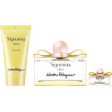 Ferragamo Signorina Libera komplekt naistele (EDP, 100 ml + kehakreem, 50 ml + EDP, 5 ml)