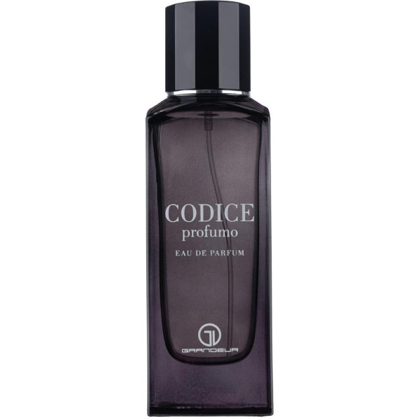 Grandeur Codice Profumo EDP lõhnastatud vesi meestele, 100 ml