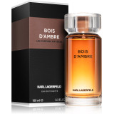 Karl Lagerfeld Bois D'Ambre EDT tualettvesi meestele, 100 ml