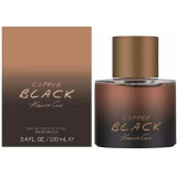 Kenneth Cole Black Copper EDT tualettvesi meestele, 100 ml