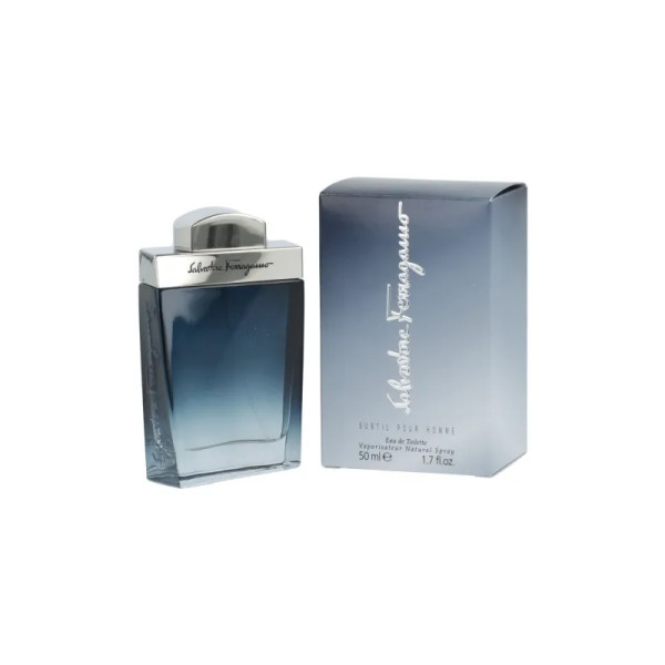 Salvatore Ferragamo Subtil Pour Homme EDT tualettvesi meestele, 50 ml