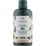 The Body Shop Shea Conditioner butter tree taastav juuksepalsam, 250 ml