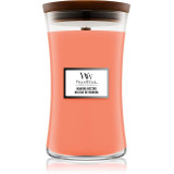 Woodwick Manuka nektari lõhnaküünal, 610 g