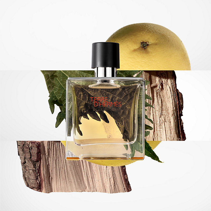 Vaade: kulunud, Terre d'Hermes Parfum